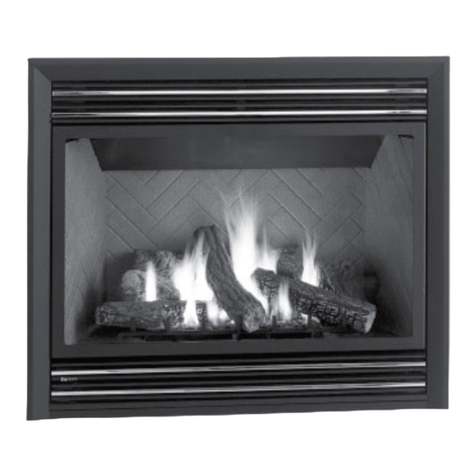 Regency Fireplace Products P48-1 Owners & installation manual