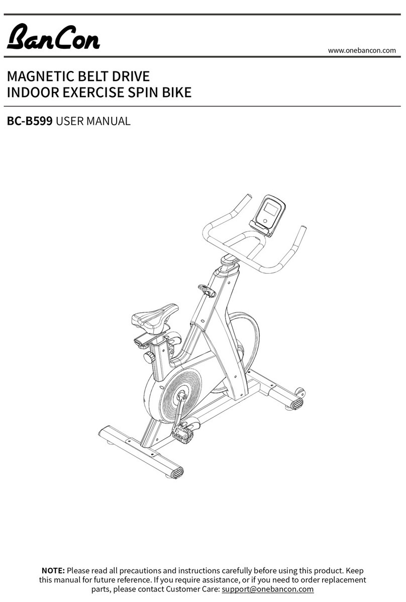 BanCon BC-B599 user manual
