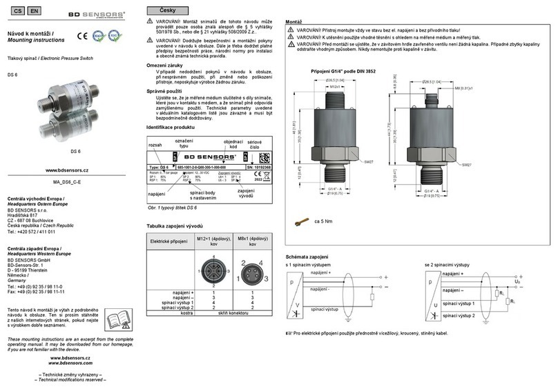 BD Sensors DS 6 Mounting instructions