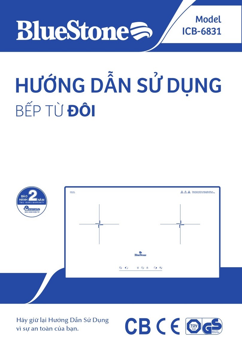 BLUE STONE ICB-6831 user manual