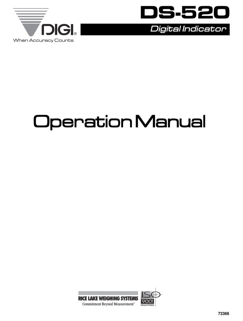 Rice Lake DIGI DS-520 User manual