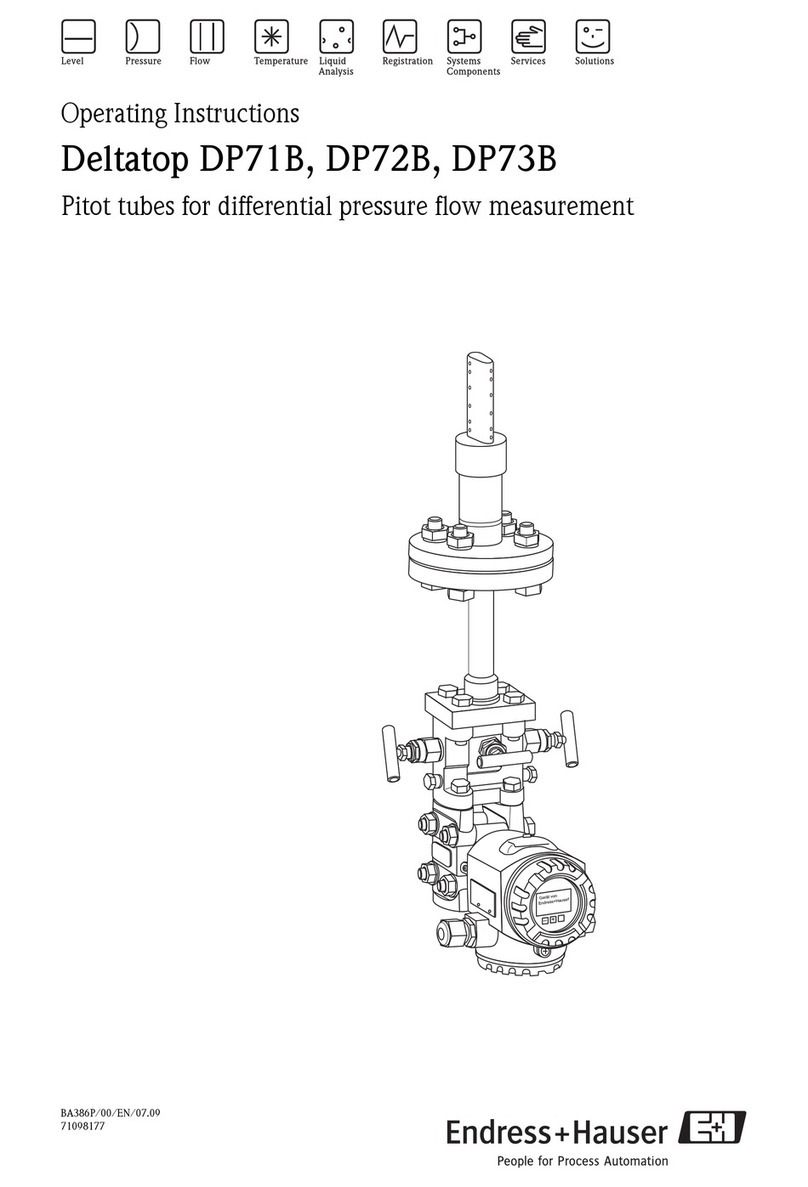 Endress+Hauser Deltatop DP71B User manual