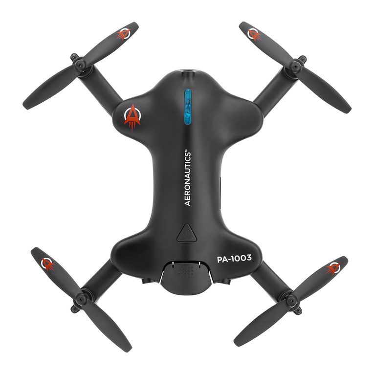 Voyage PA-1003 user manual