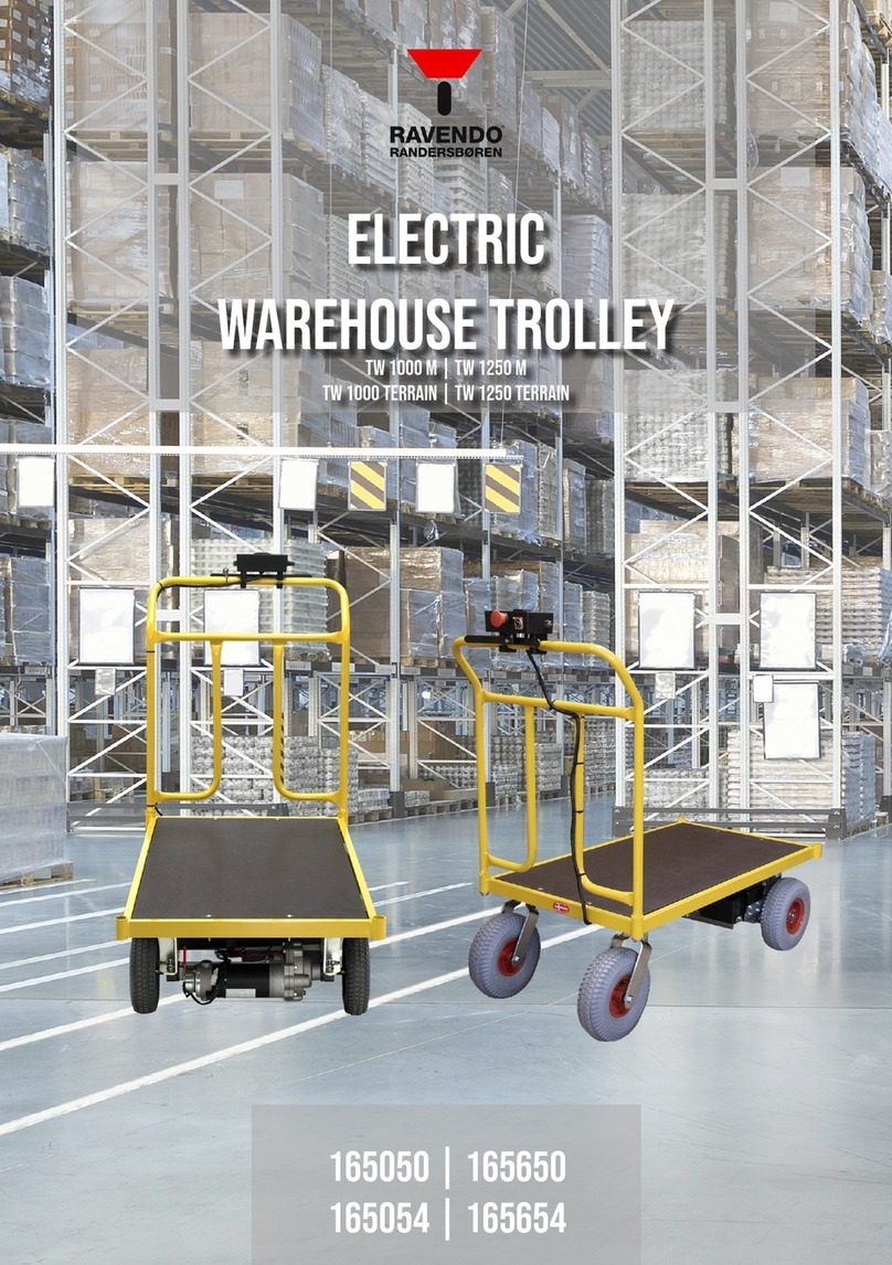 Ravendo TW 1000 M user manual