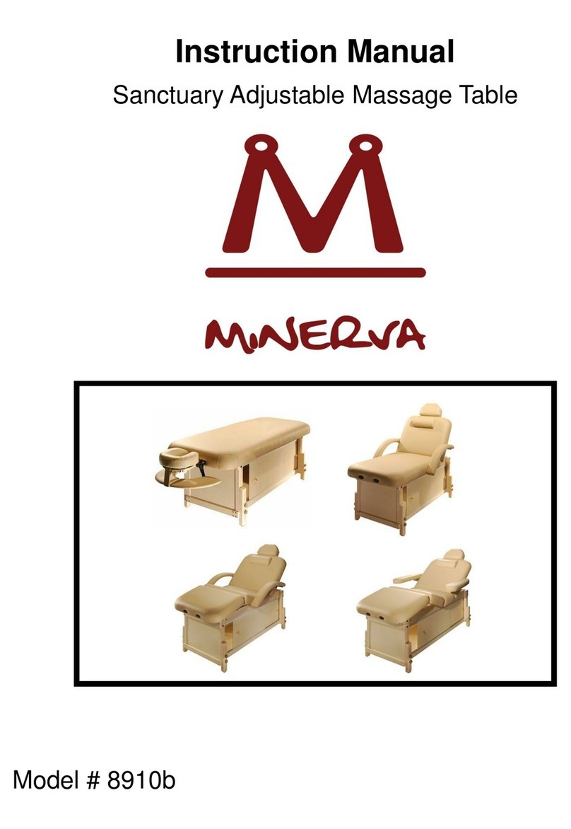 Minerva 8910b instruction manual
