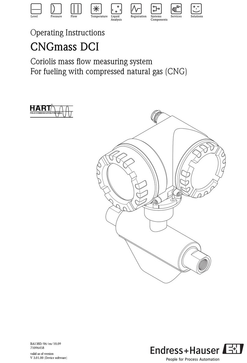 Endress+Hauser CNGmass DCI operating instructions Endress+Hauser CNGmass DCI operating instructions