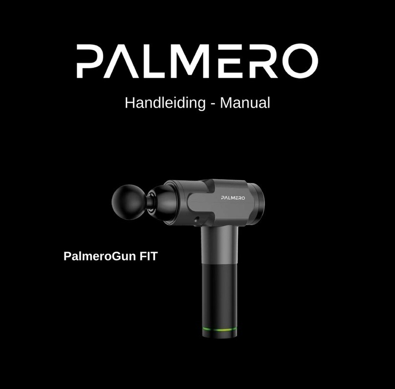 Palmero PalmeroGun FIT manual