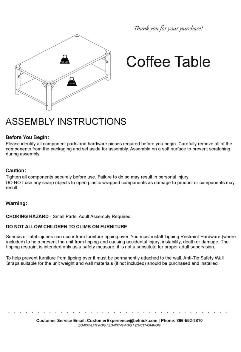 Belnick ZG-037-LTGY-GG Assembly instructions