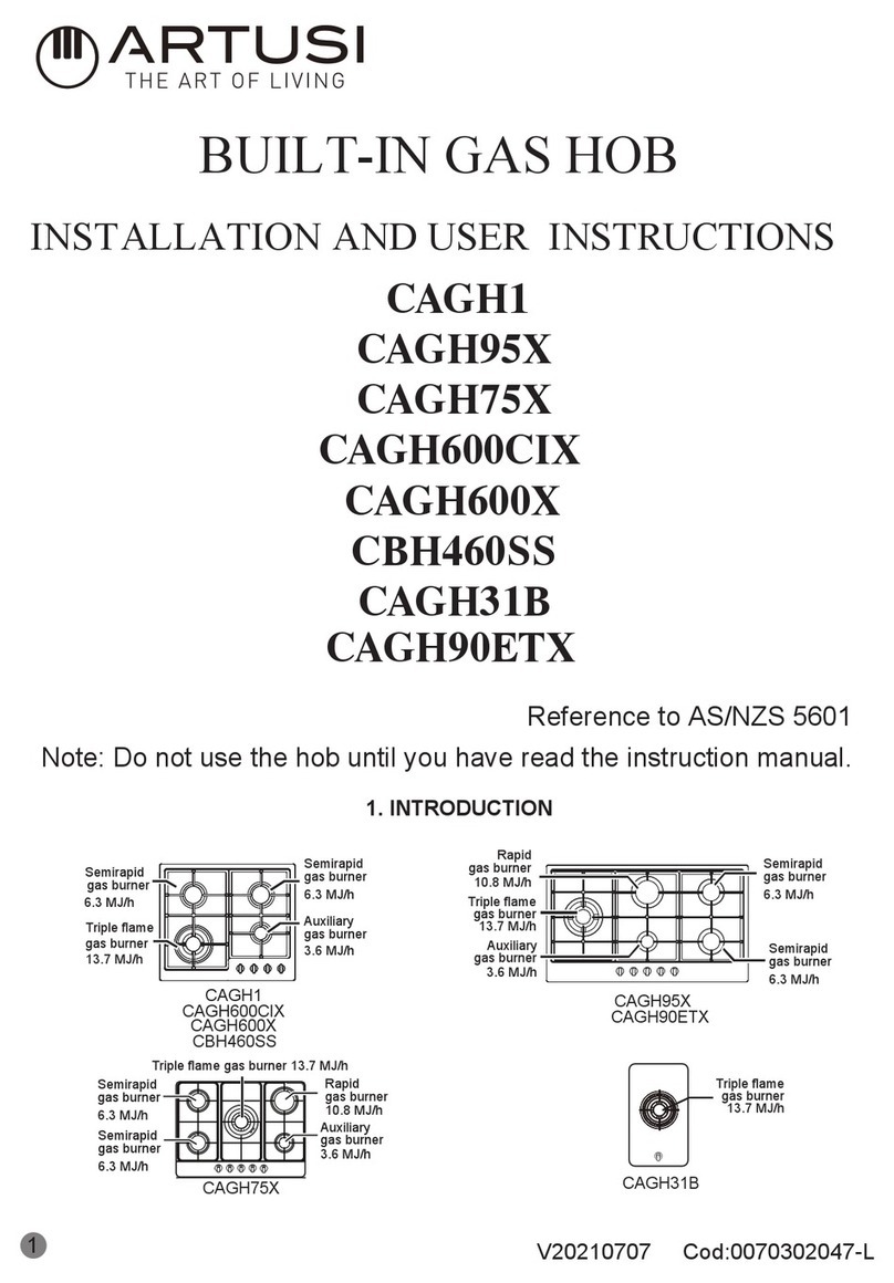 Artusi CAGH1 Installation and user instructions