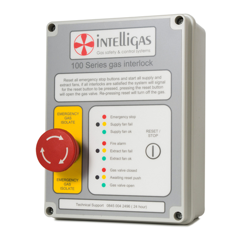 Intelligas 100 CS installation guide