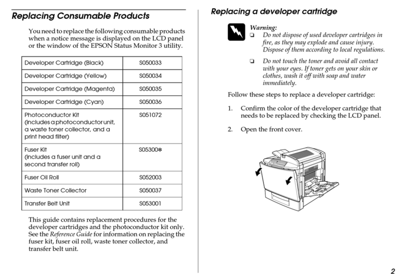 Epson S050033 Guide