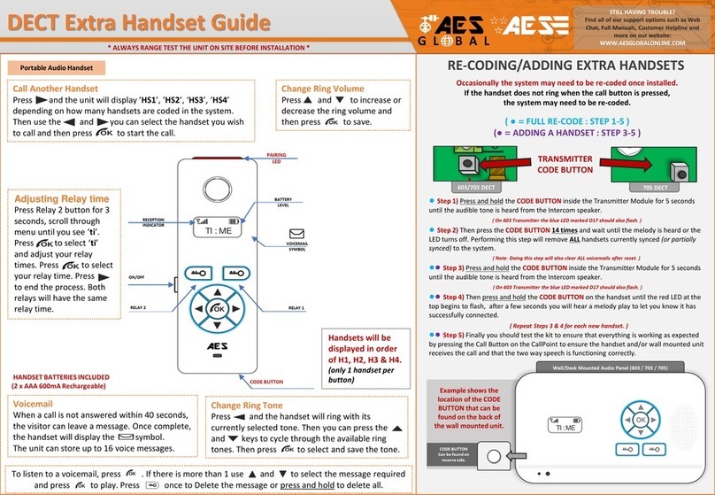 AES global DECT Extra User manual