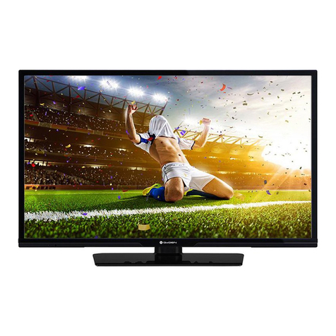 Gogen TVH32R15FE User manual