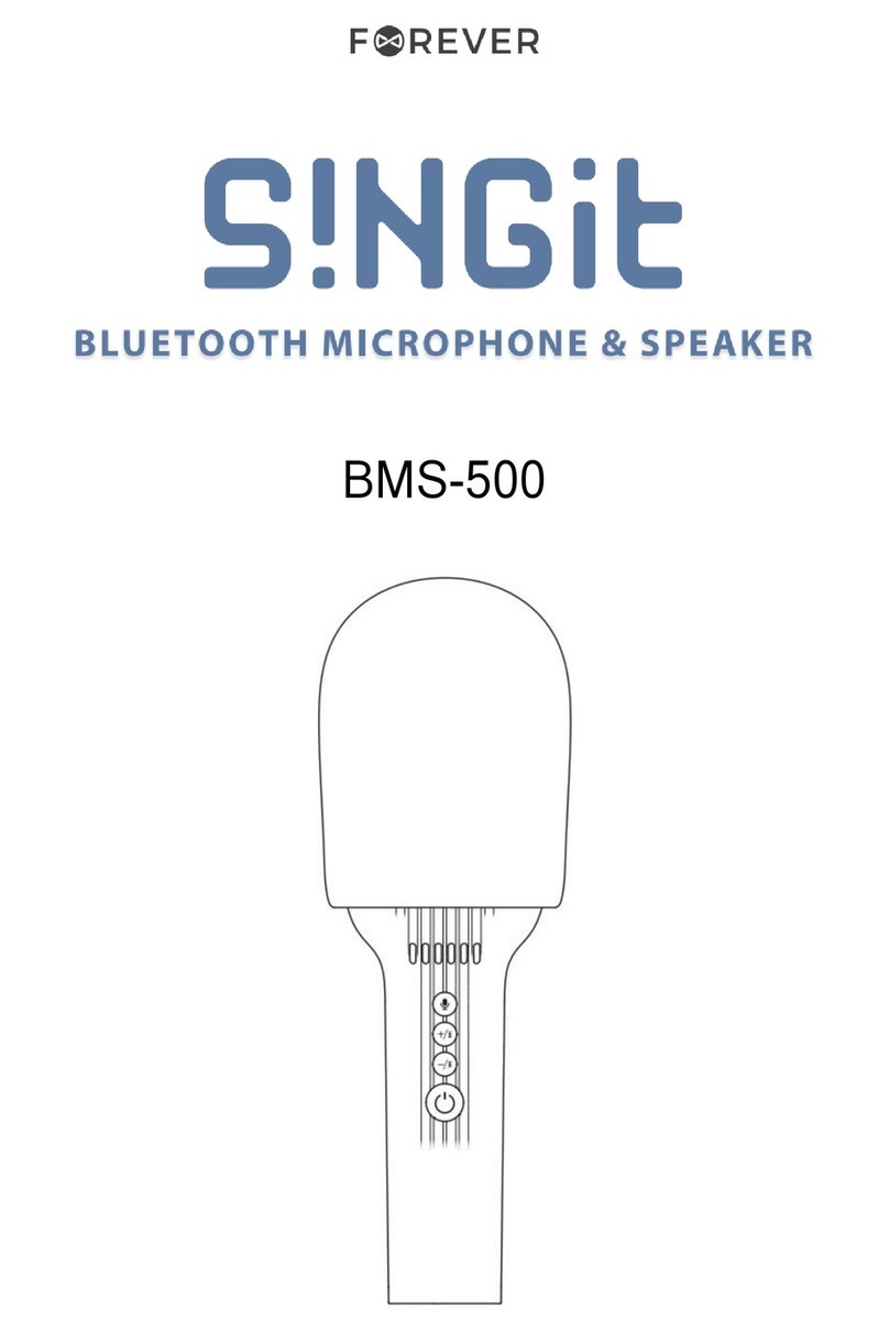 FOREVER SingIt BMS-500 quick start guide
