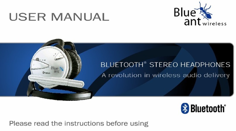 Blueant OBH-0100 user manual