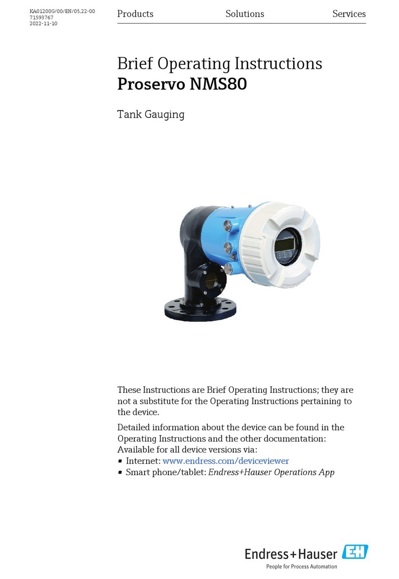 Endress+Hauser Proservo NMS80 Technical specifications