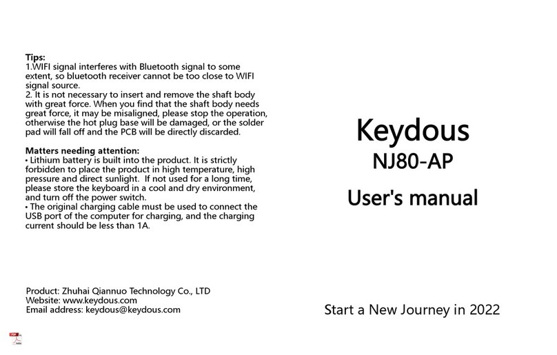 Keydous NJ80-AP user manual