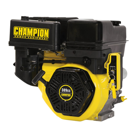 Champion Power Equipment 61302 Manual
