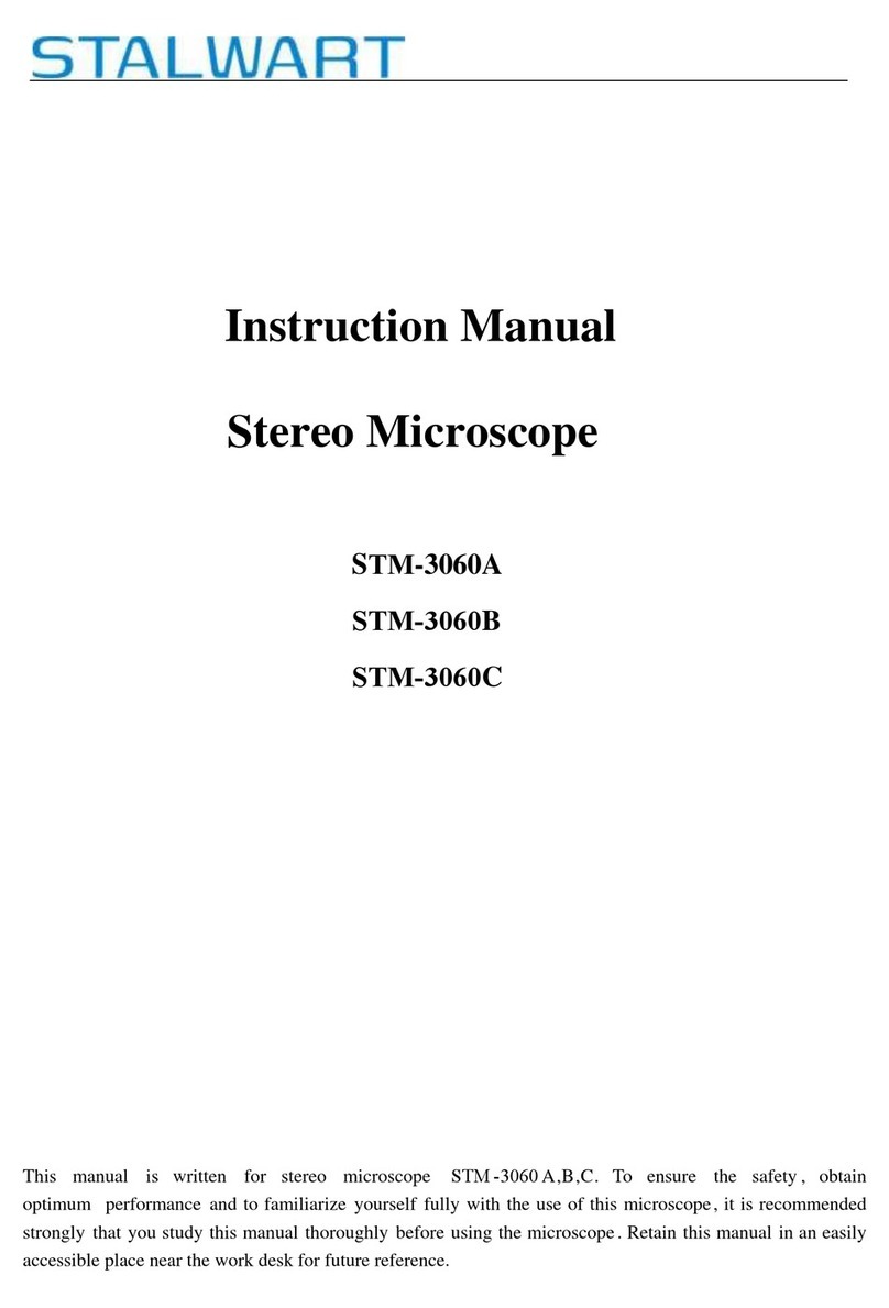 Stalwart STM-3060A User manual