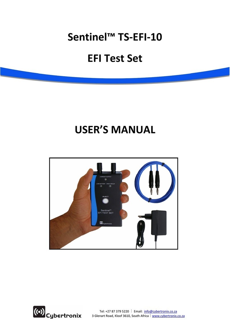 Cybertronix Sentinel TS-EFI-10 user manual