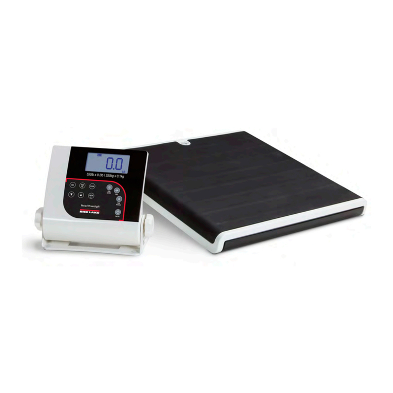 Rice Lake 160-10-7N User manual