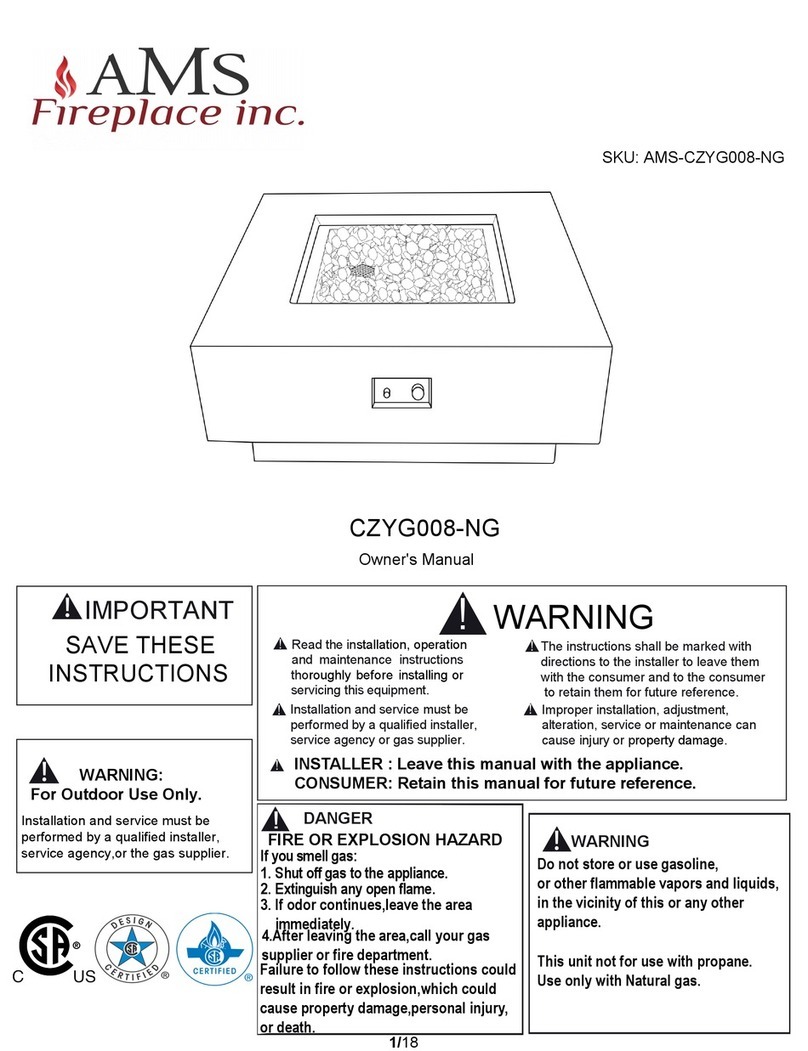 AMS CZYG008-NG manual