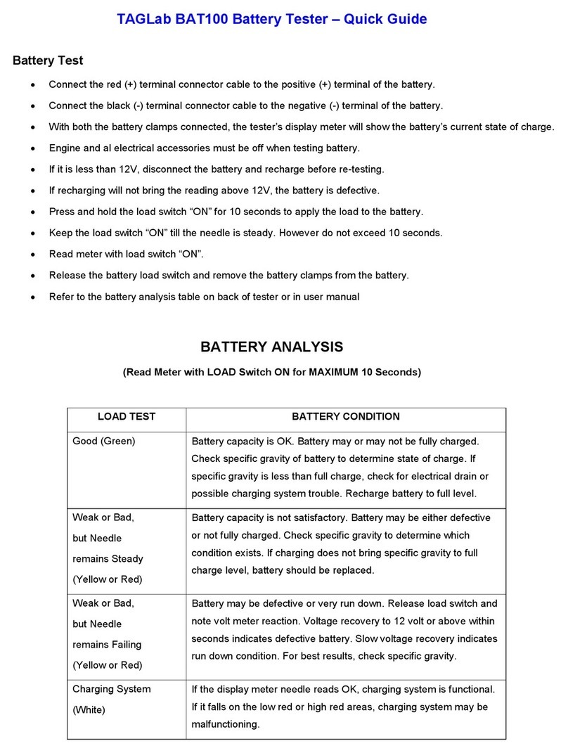 TAGLab BAT 100 User manual