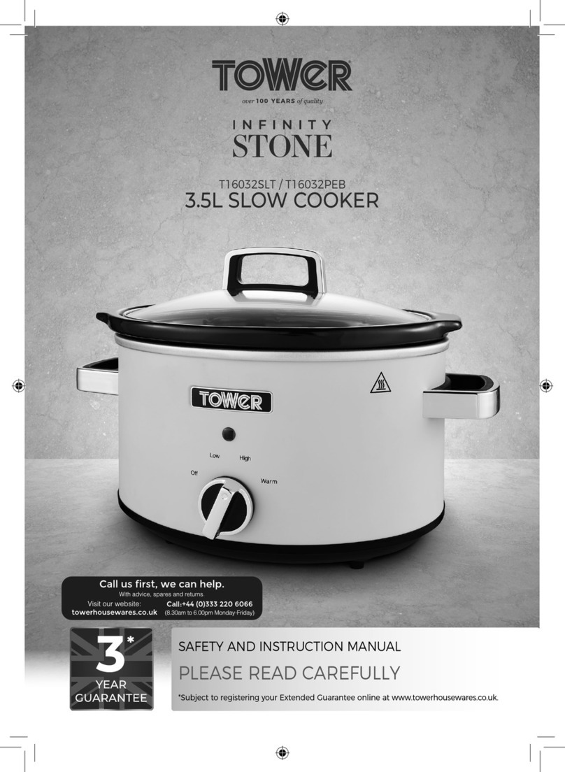 Tower Hobbies INFINITY STONE T16032SLT Operator's manual