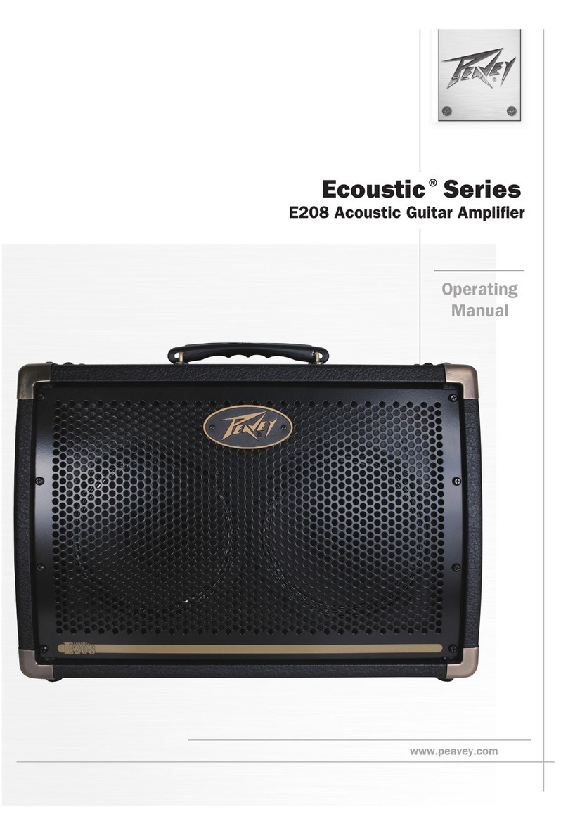 Peavey Ecoustic Series operating manual
