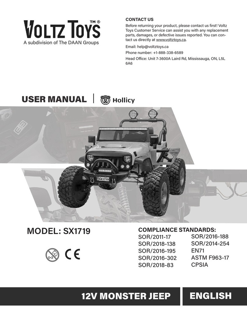 DAAN Groups VoltzToys SX1719 user manual