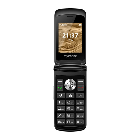 mPTech myPhone Waltz User manual