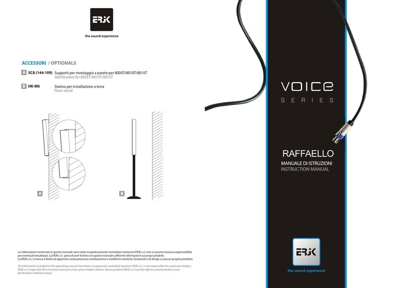 ERJK VOICE RAFFAELLO instruction manual