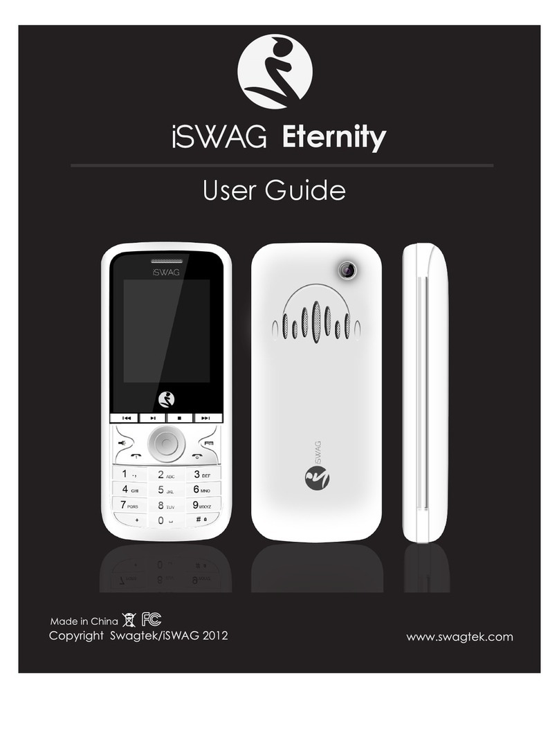 iSwag Eternity II User manual