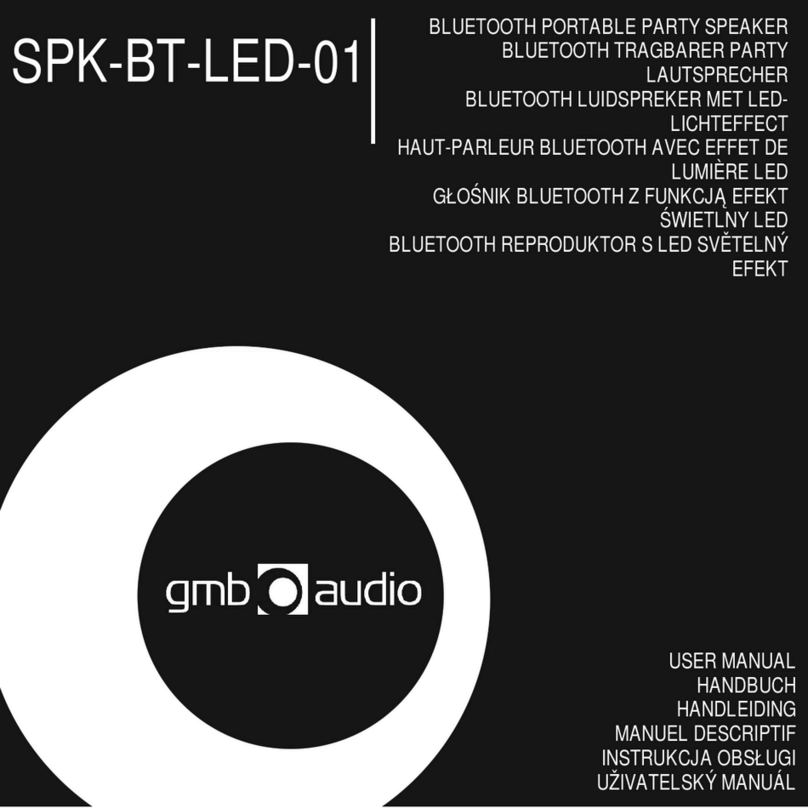 GMB Audio SPK-BT-LED-01 User manual
