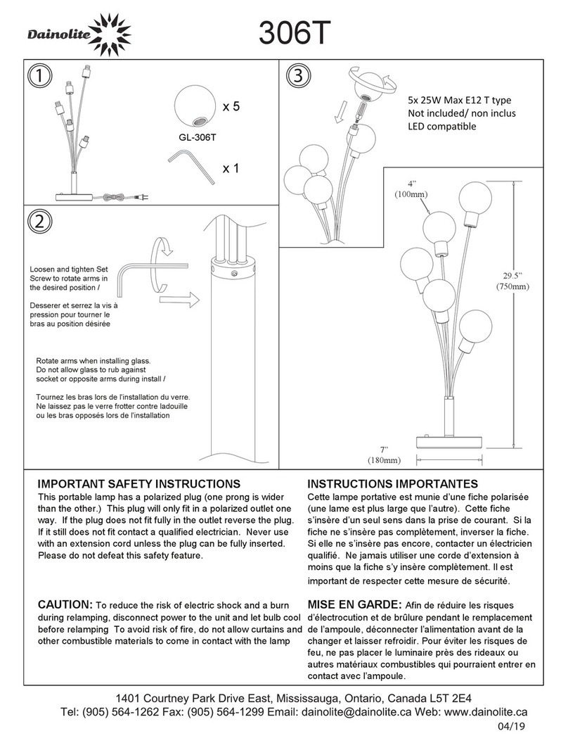 Dainolite 306T quick start guide