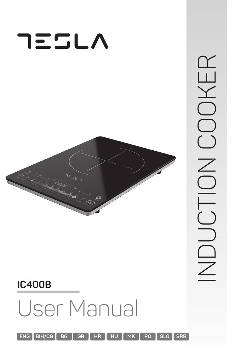 Tesla IC400B user manual