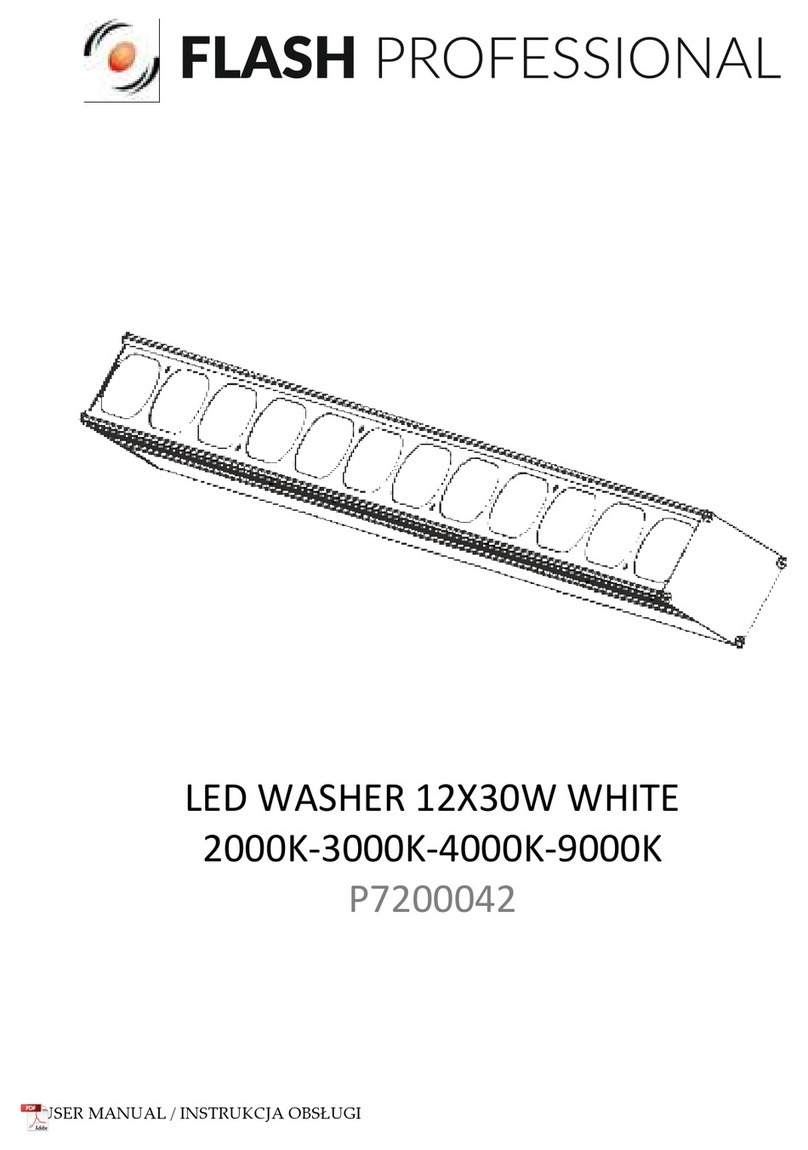 Flash professional P7200042 User manual