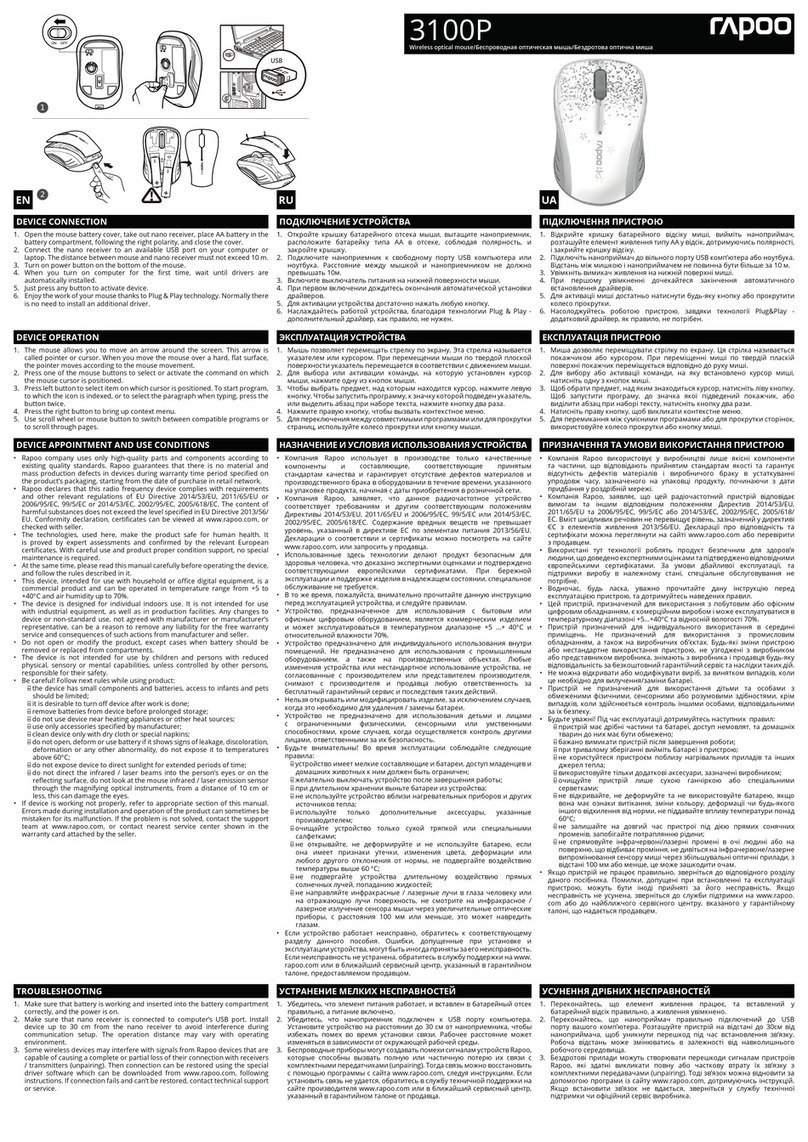 Rapoo 3100P User manual