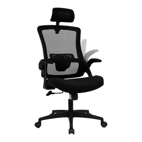 Neo Chair DBS Assembly instruction