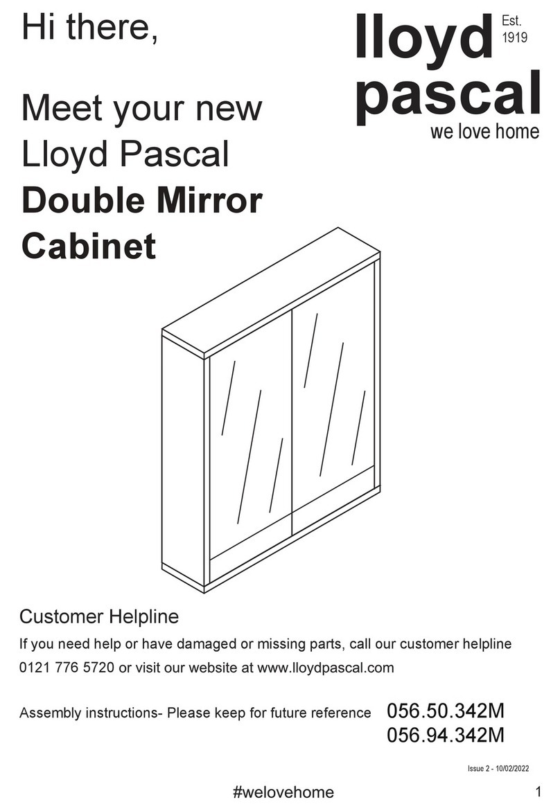 Lloyd Pascal Double Mirror Cabinet User manual