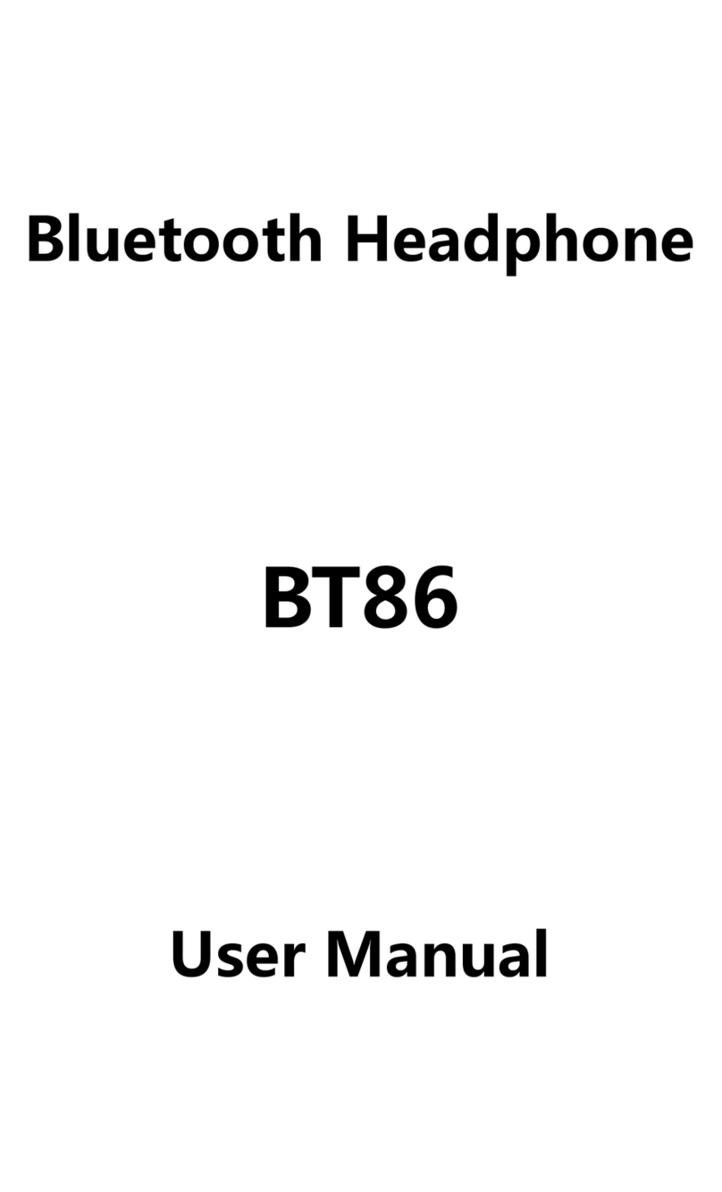 High Zone BT86 user manual