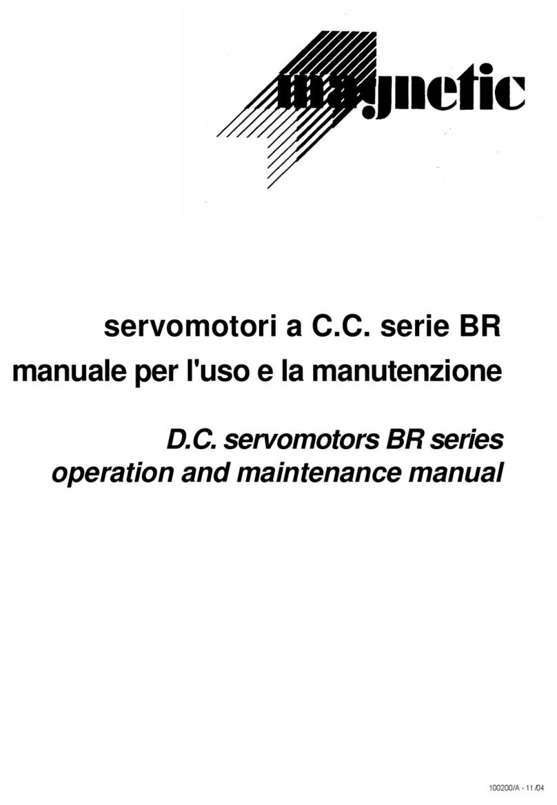 Magnetic BR Series Operation and maintenance manual Magnetic BR Series Operation and maintenance manual