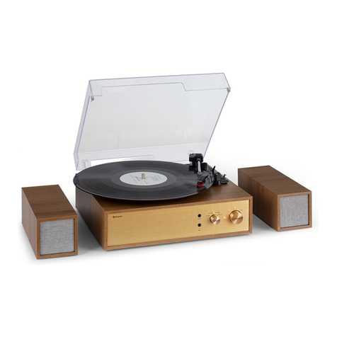 auna Berklee TT Play manual
