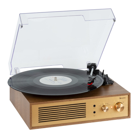 auna Berklee TT Classic manual