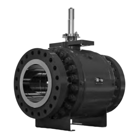 Emerson Fisher DSV1000 User manual