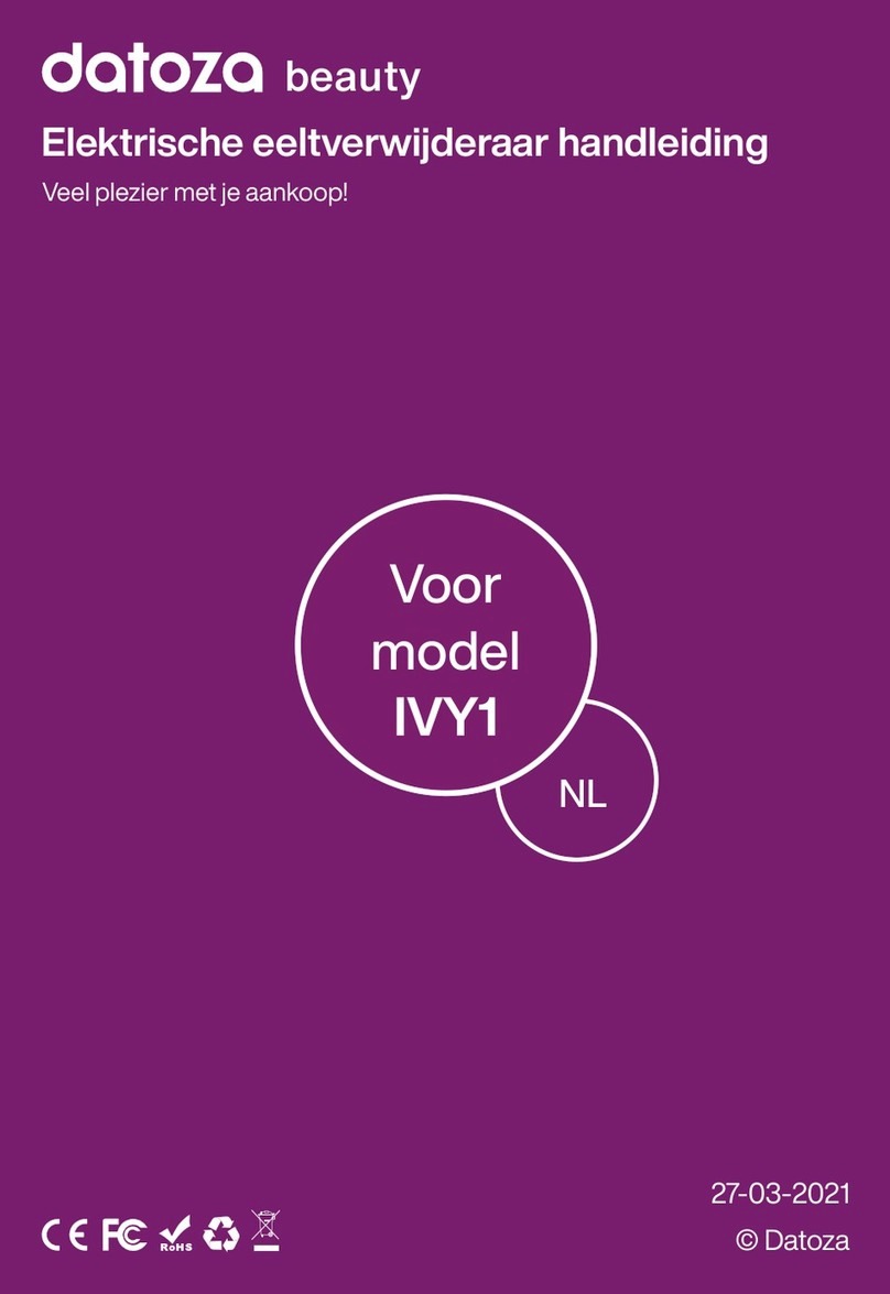 Datoza IVY1 manual