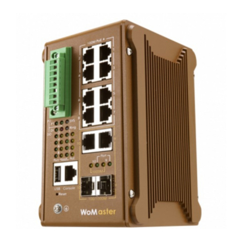 WoMaster DP310 User manual