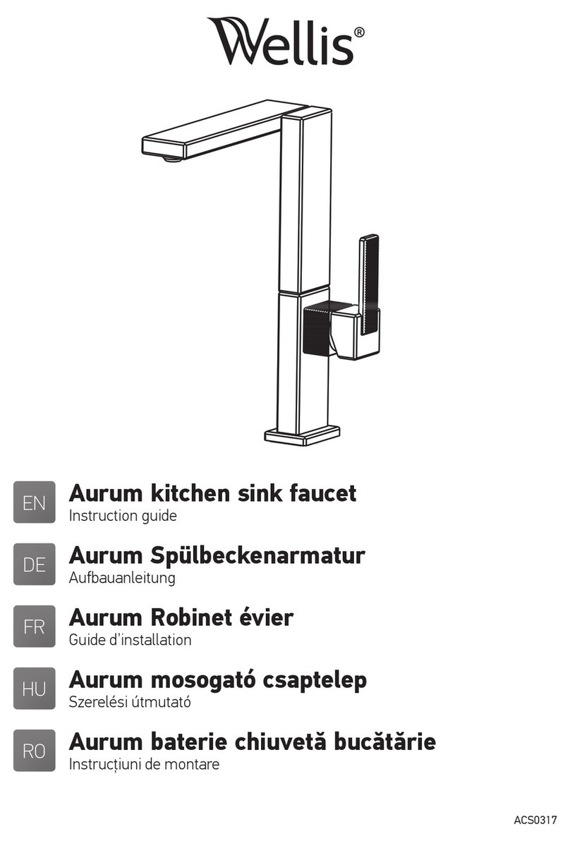 Wellis Aurum ACS0317 User manual