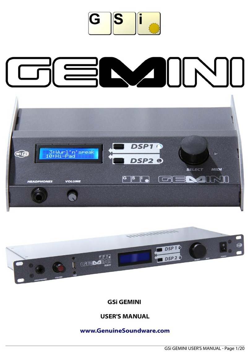 GSi GEMINI Desktop User manual