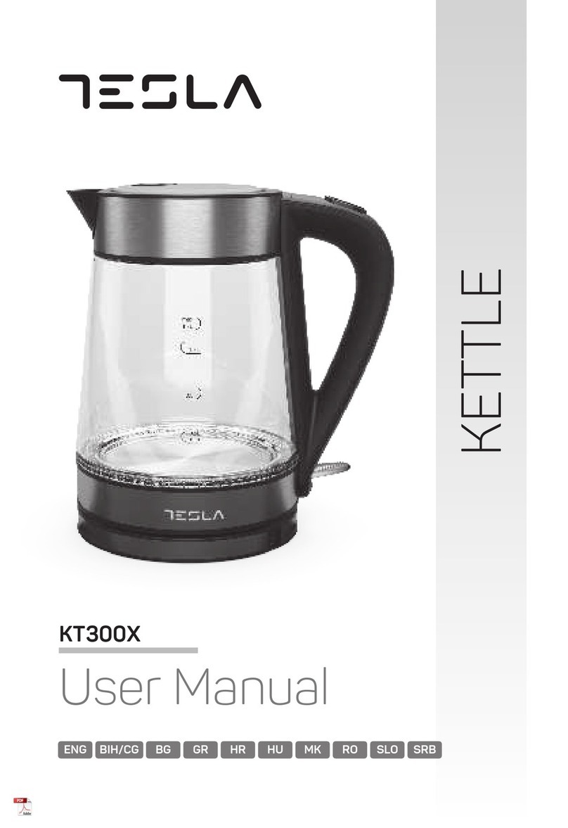 Tesla KT300X User manual